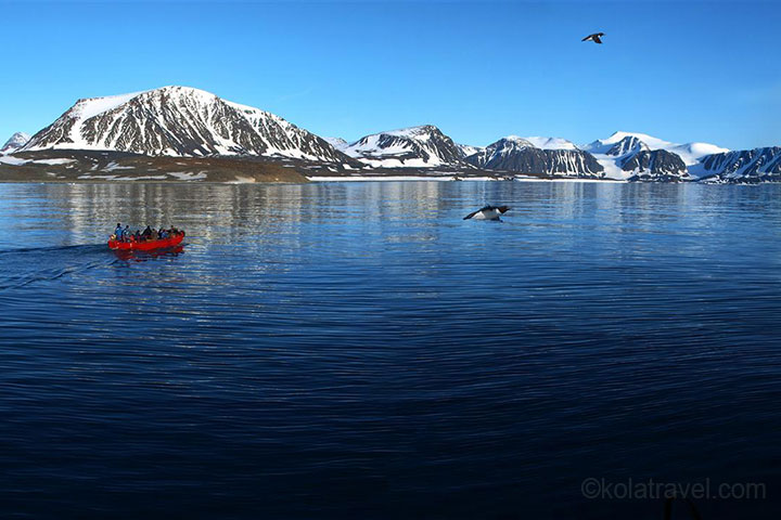 22-tägige Arktisexpedition Abfahrt von Murmansk. Beobachten Sie die atemberaubenden Gletscher von Novaya Zemlya und Franz Josef Land, einsame Inseln der eisigen Karasee, Severnaya Zemlya, die 1932 entdeckt wurden!