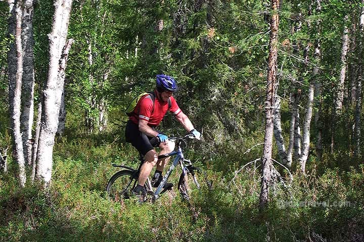 Fahrradtour durch die Taiga der Kola Halbinsel. Mountainbike Tour 'Russisch Lappland'