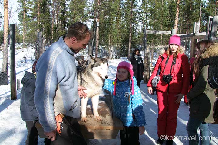 Kommen Sie für einen Tagesausflug in den herrlichen Husky-Park in der Nähe des Saami-Dorfes Lovozero. Ein komplettes Ausflugsprogramm in der Husky-Zwinger- und Rentierfarm inklusive Husky-Safari und traditionellem Mittagessen in Russisch-Lappland auf der Kola-Halbinsel. Kola Travel