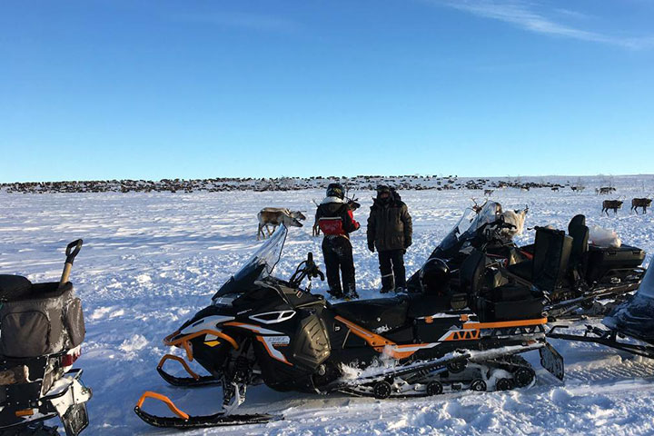 Auf dieser 5-tägigen Nordlichttour bringen wir Sie in ein Gästehaus in der Nähe der Hauptstadt der russischen Saami, dem Dorf Lovozero. Von dort aus unternehmen Sie täglich Ausflüge zu den geheimnisvollen Stätten der Saami. Auf dem Programm stehen Motorschlittensafaris zum „Heiligen See“ der Saami und in die Tundra mit ihren großen Rentierherden. Sie werden auch einen Husky-Park besuchen und vieles mehr.