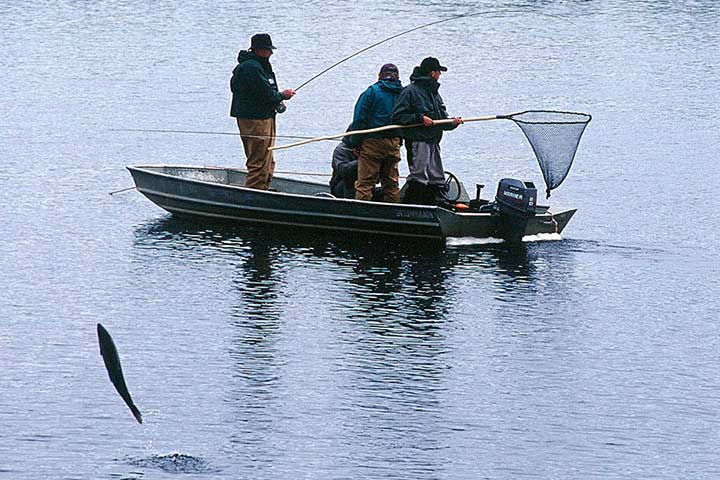 Angelurlaub auf Atlantischen Lachs am idyllisch gelegenen Umba Fluss mit Vollpension, persönlicher und kundiger Führer mit Boot (Zeitdauer nach Wunsch). Haken Sie den größten Fisch oder fangen Sie reichlich.